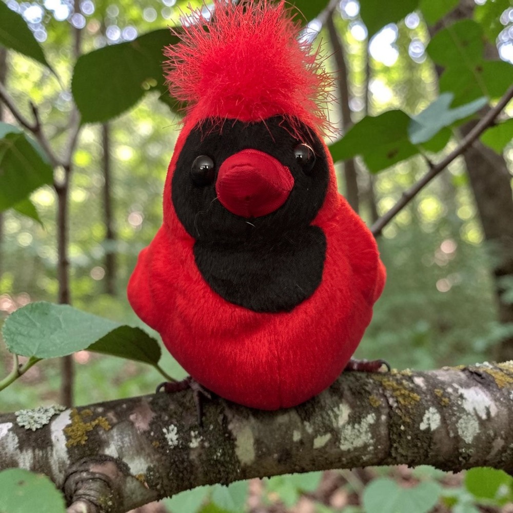 Zangeen Inc 2007 Red Cardinal Bird Plush Stuffed Animal 6 Inch Nature Toy